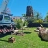 West Coast Tree Service partner small image